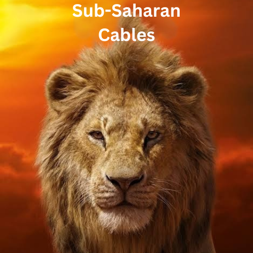 Golden Lion Geometric Logo Design Business Identity for Fashion Design Studio 1