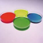 DISH PETRI DISPOSABLE