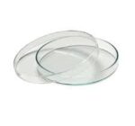 DISH PETRI  GLASS